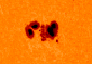 MDI white light image of sunspot